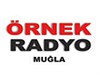 Örnek Radyo Bilgileri